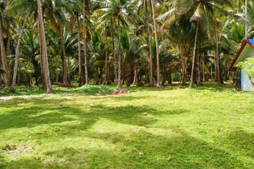 Siargao Island Beach Property for Sale